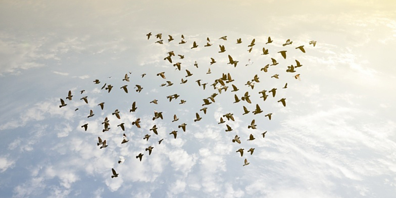 Employee Ownership | Aileron